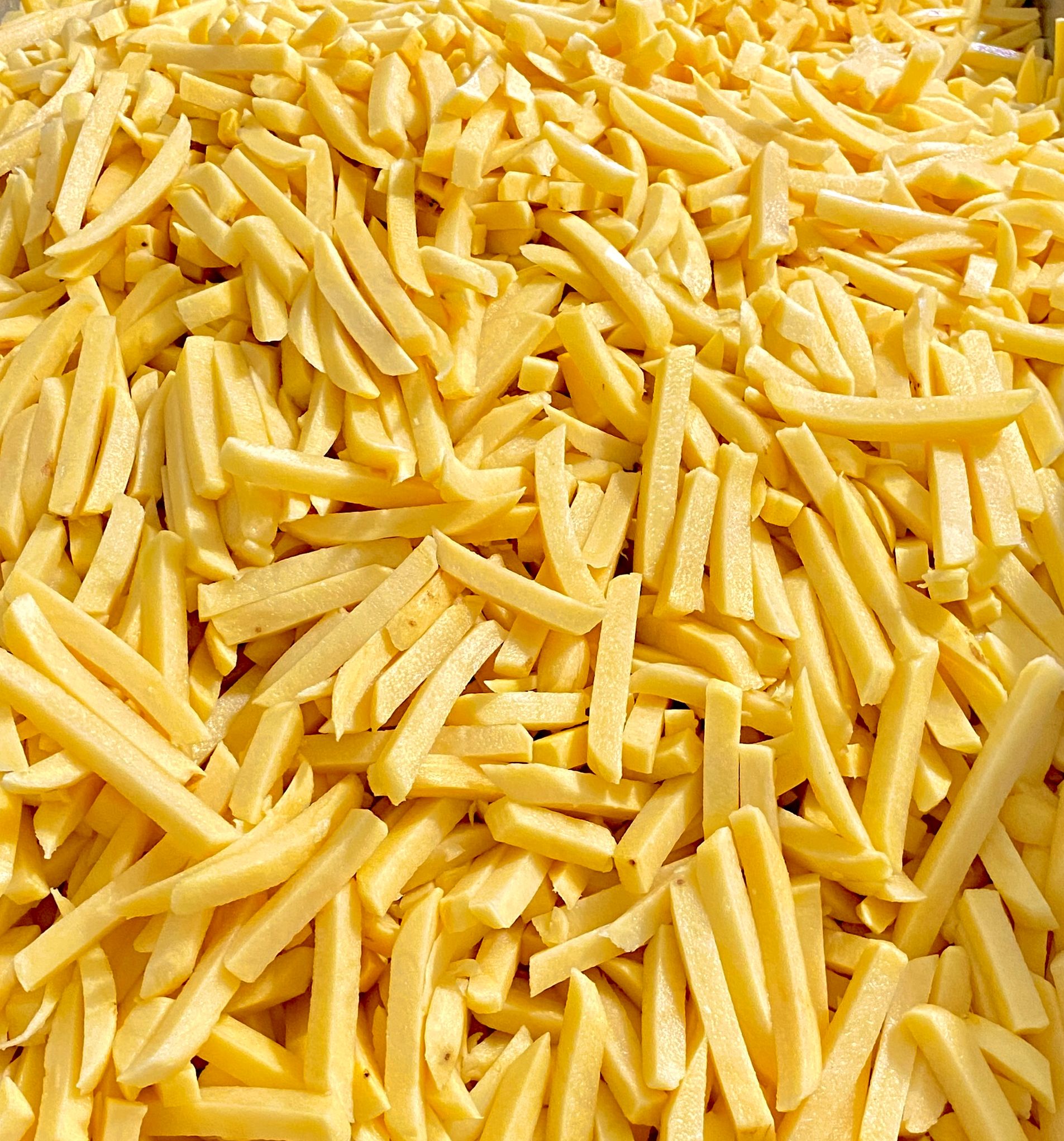 Ak Gıda Organik Tarım